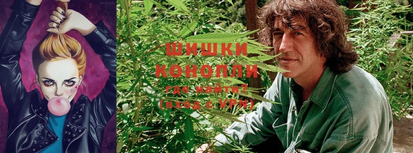 jwh Аркадак