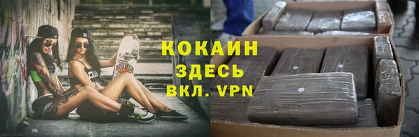 прущие крисы Арсеньев