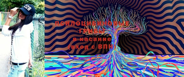 бутират Армянск